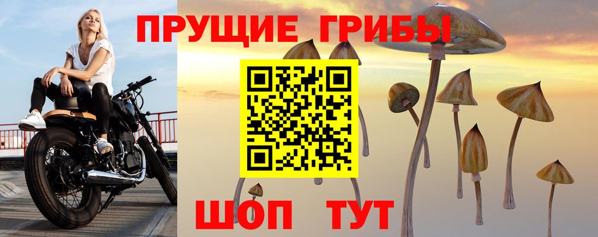 продажа наркотиков  Вход с VPN  Йошкар-Ола  Псилоцибиновые грибы ЛСД 