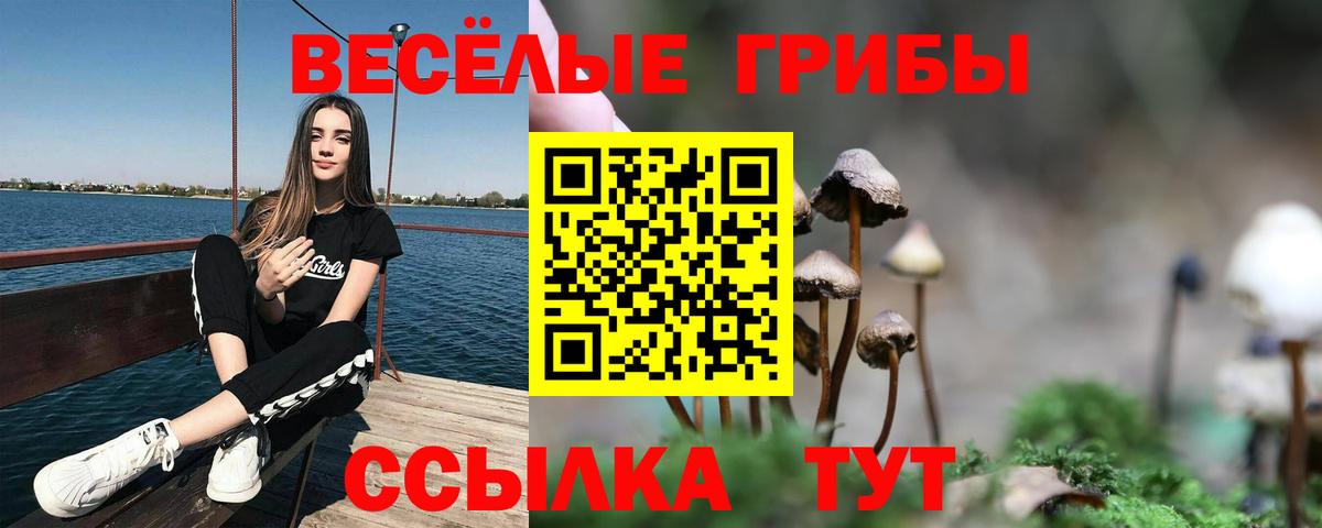 Галлюциногенные грибы мухоморы  Йошкар-Ола  наркота  Псилоцибиновые грибы мицелий 